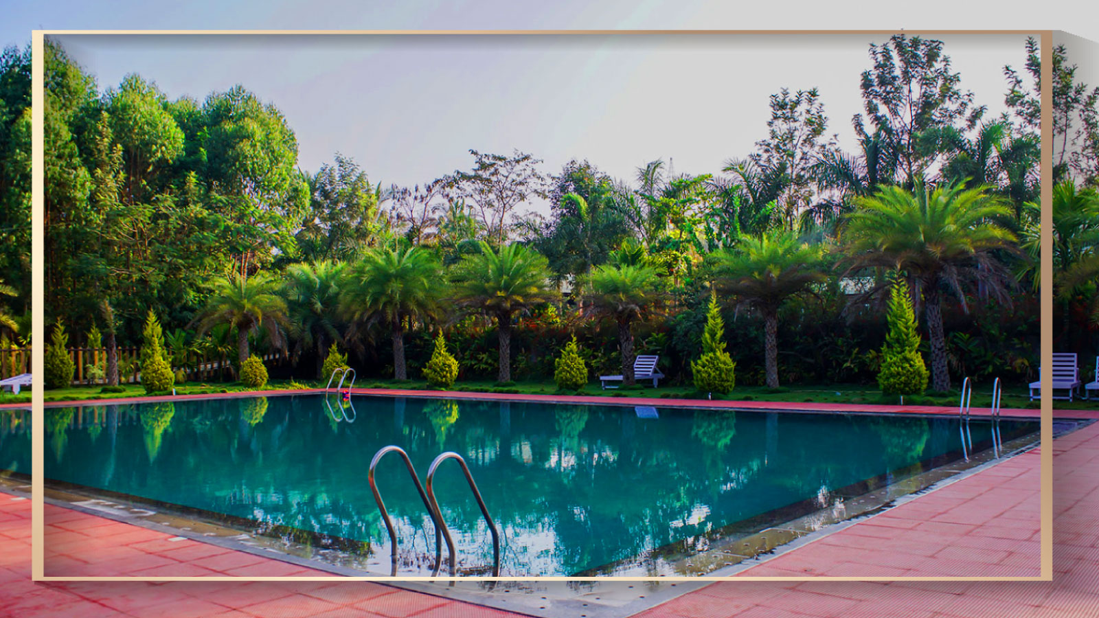 Amenities – lagopalmsresort